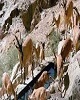 بازسازی آبشخورها و مسیر انتقال لوله آب پارک ملی هفتاد قله اراک